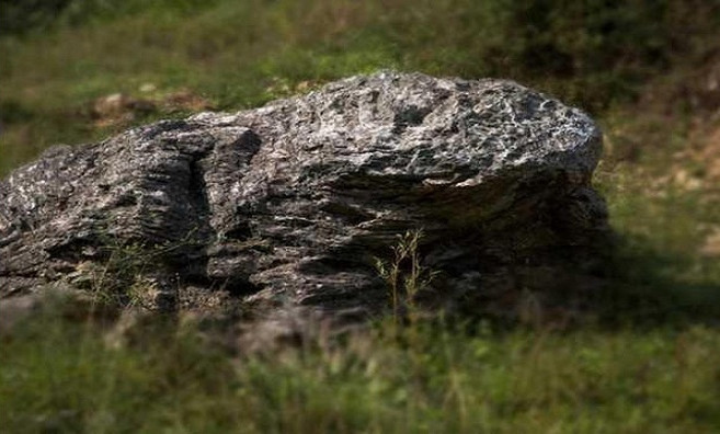 For generations, the villagers have worshipped a toad-shaped rock at the edge of the village.