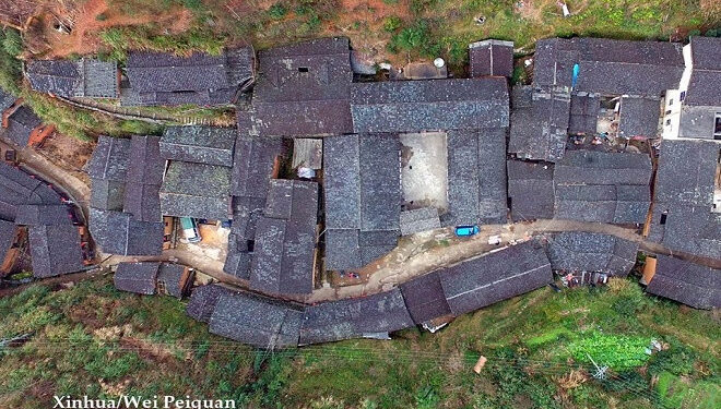 The mystery of the village that hasn’t had a single mosquito for a hundred years.