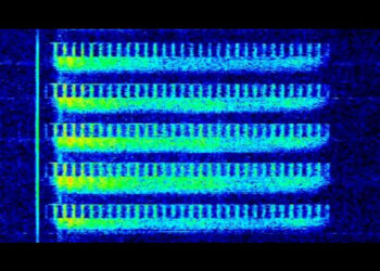 Decoding mysterious Russian radio signals that have been transmitted for 40 years has baffled scientists.