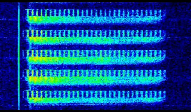 Decoding mysterious Russian radio signals that have been transmitted for 40 years has baffled scientists.